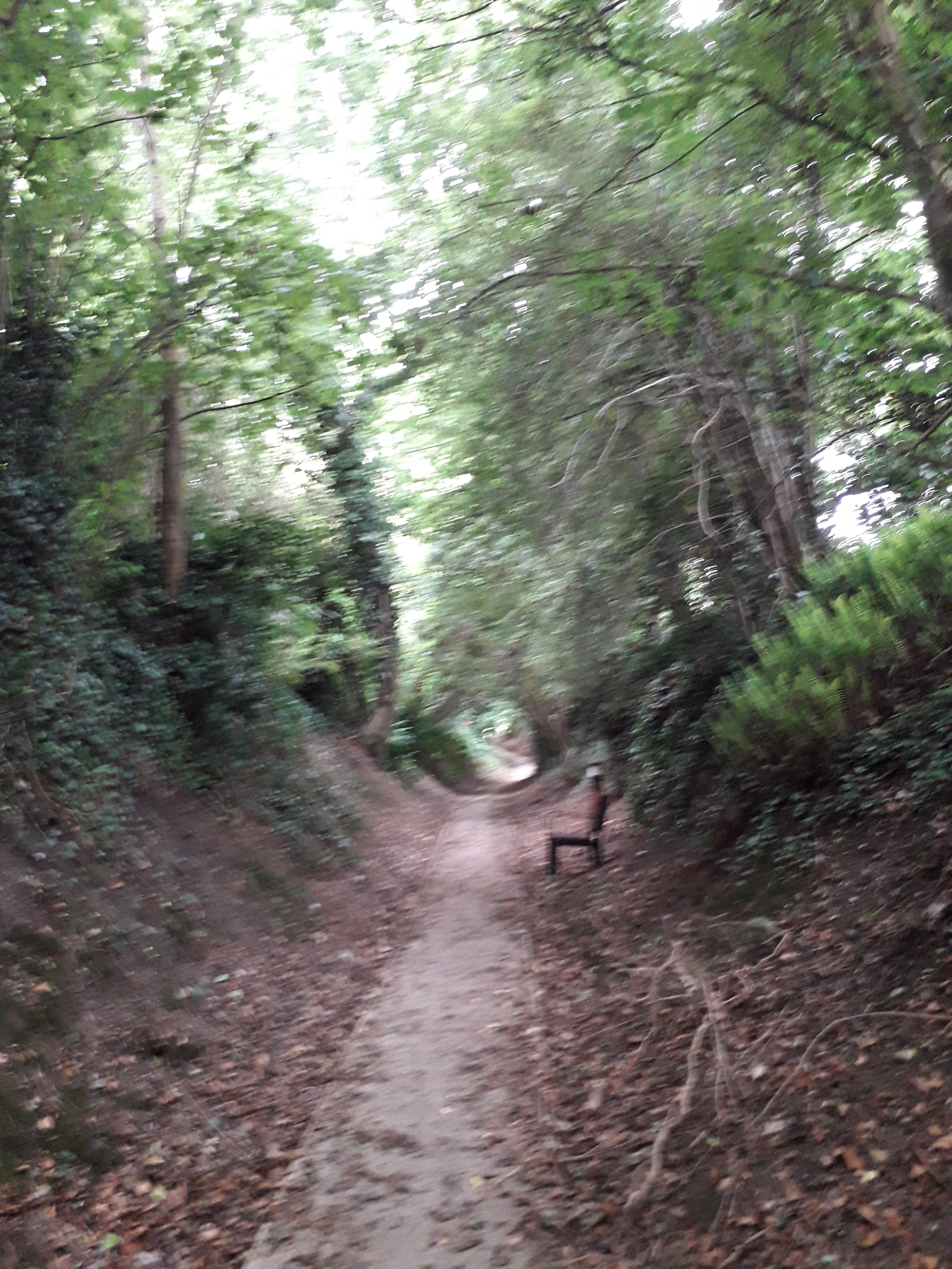 Photo n° 6 de l'avis de Patricia.a fait le 18/08/2018 à 12:38