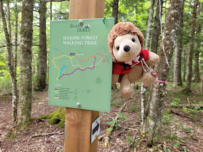 Selkirk Forest Walking Trail