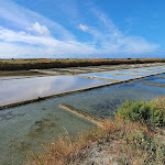 Photo n° 6 de l'avis de Stephane. fait le 25/07/2022 à 16:27 pour DESMARS & SALANTS EMILIE PALUDIERE à GUERANDE à Guérande