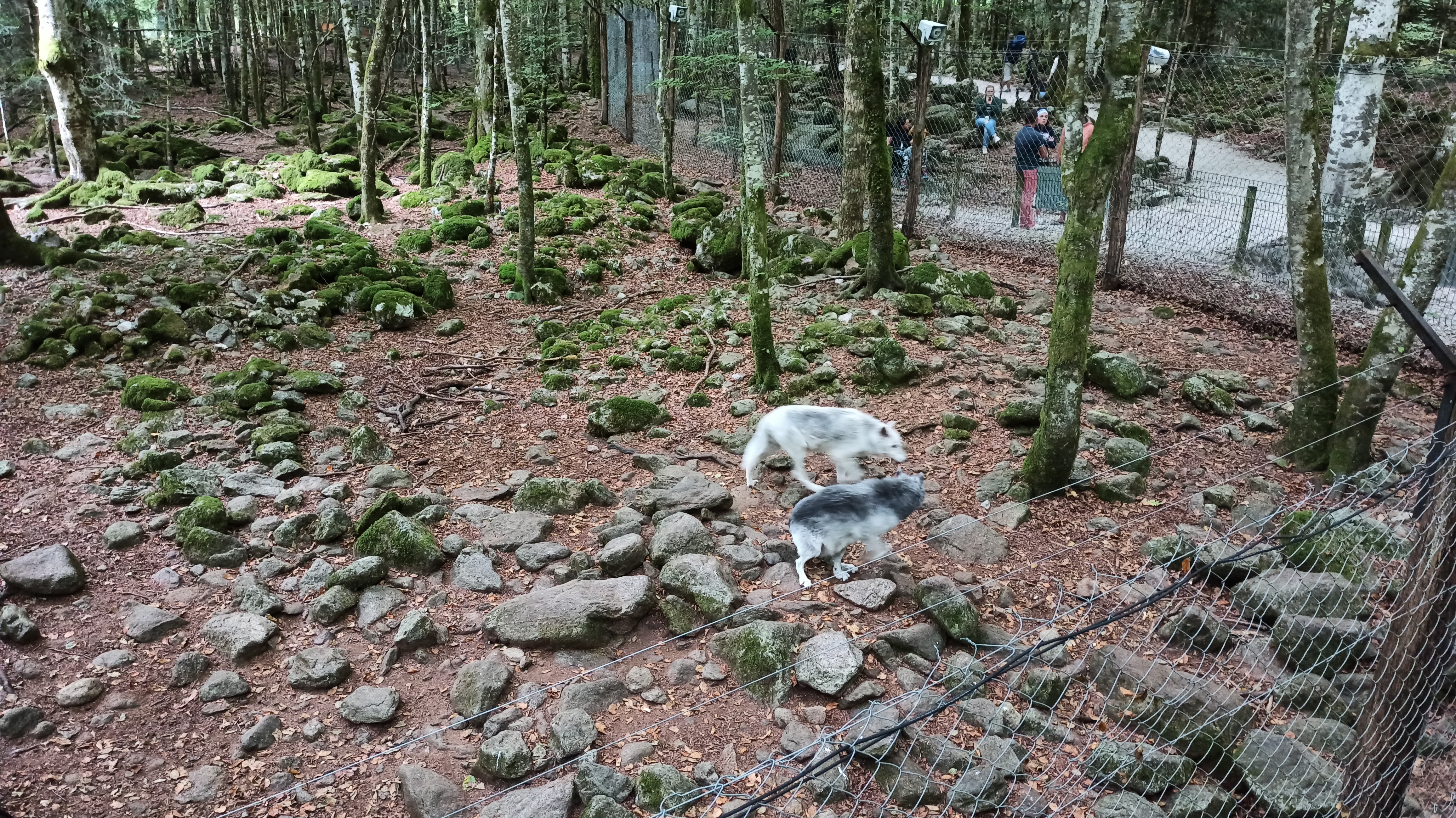 Photo n° 4 de l'avis de Laetitia.i fait le 22/08/2021 à 19:32