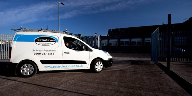 Reviews of Pest Solutions in Glasgow - Pest control service