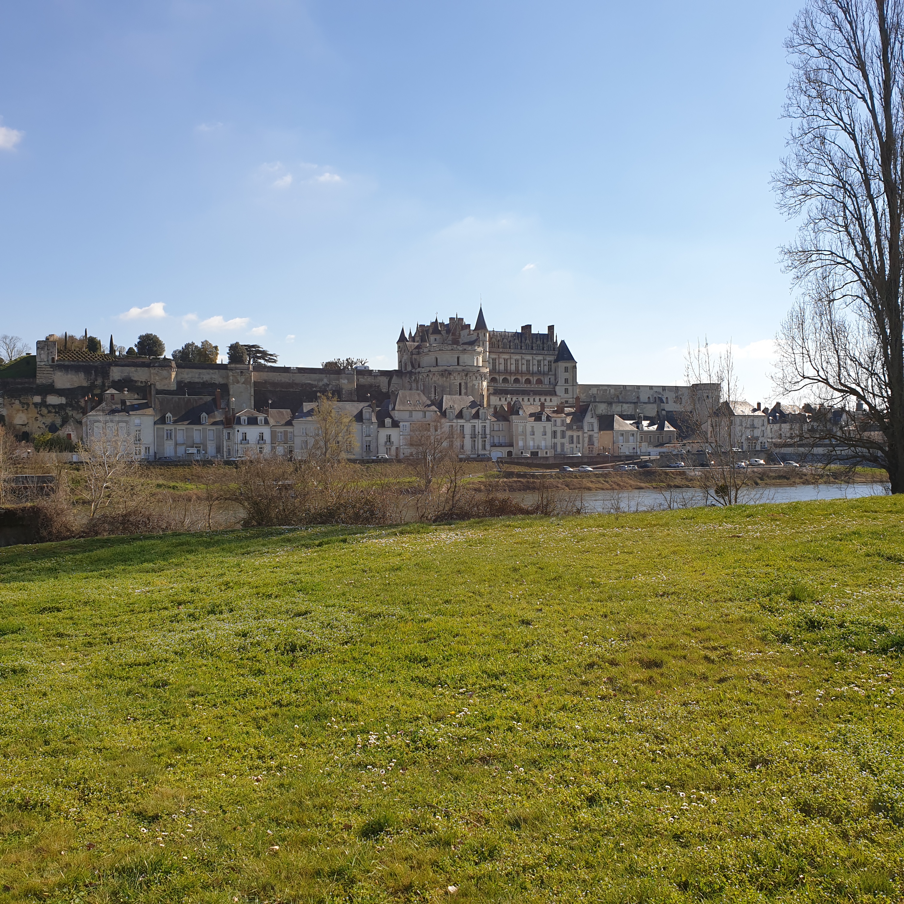 Photo n° 1 de l'avis de Didier.O fait le 20/03/2021 à 17:06