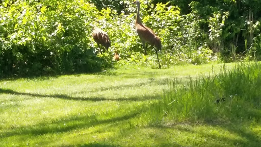 Golf Club «Wawasee Golf Club», reviews and photos, 12388 N Bishop Rd, Syracuse, IN 46567, USA