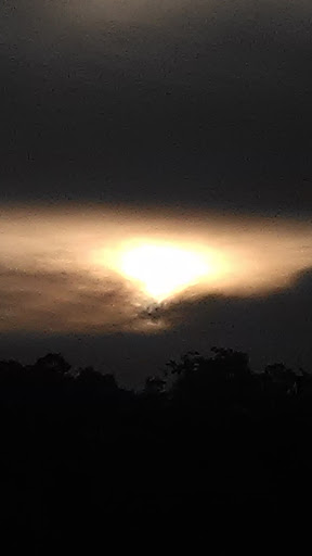 Grocery Store «Winn-Dixie», reviews and photos, 1835 FL-44, New Smyrna Beach, FL 32168, USA