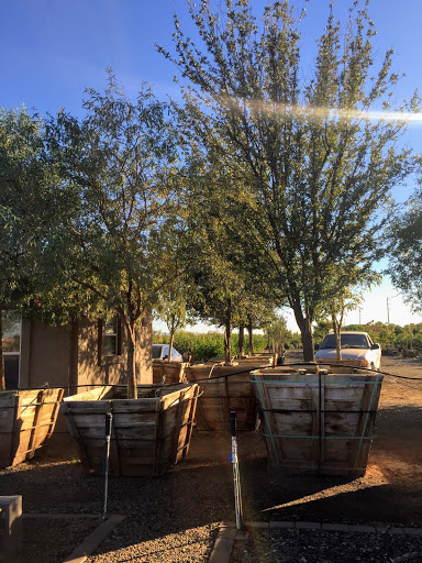 Desert Forest Nursery