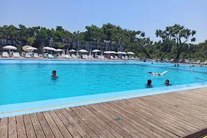 Divjaka Resort image