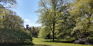 Awbury Arboretum