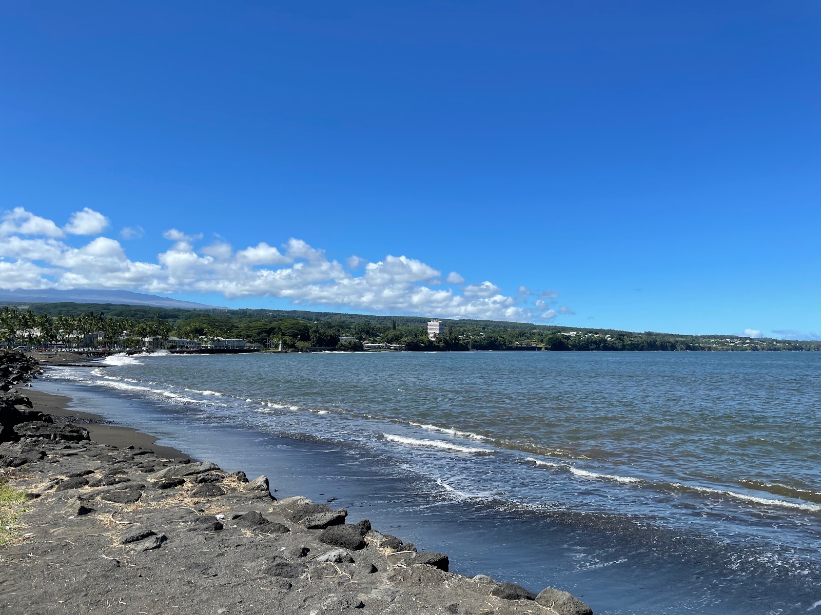 Photo of Hilo Bayfront Beach with partly clean level of cleanliness