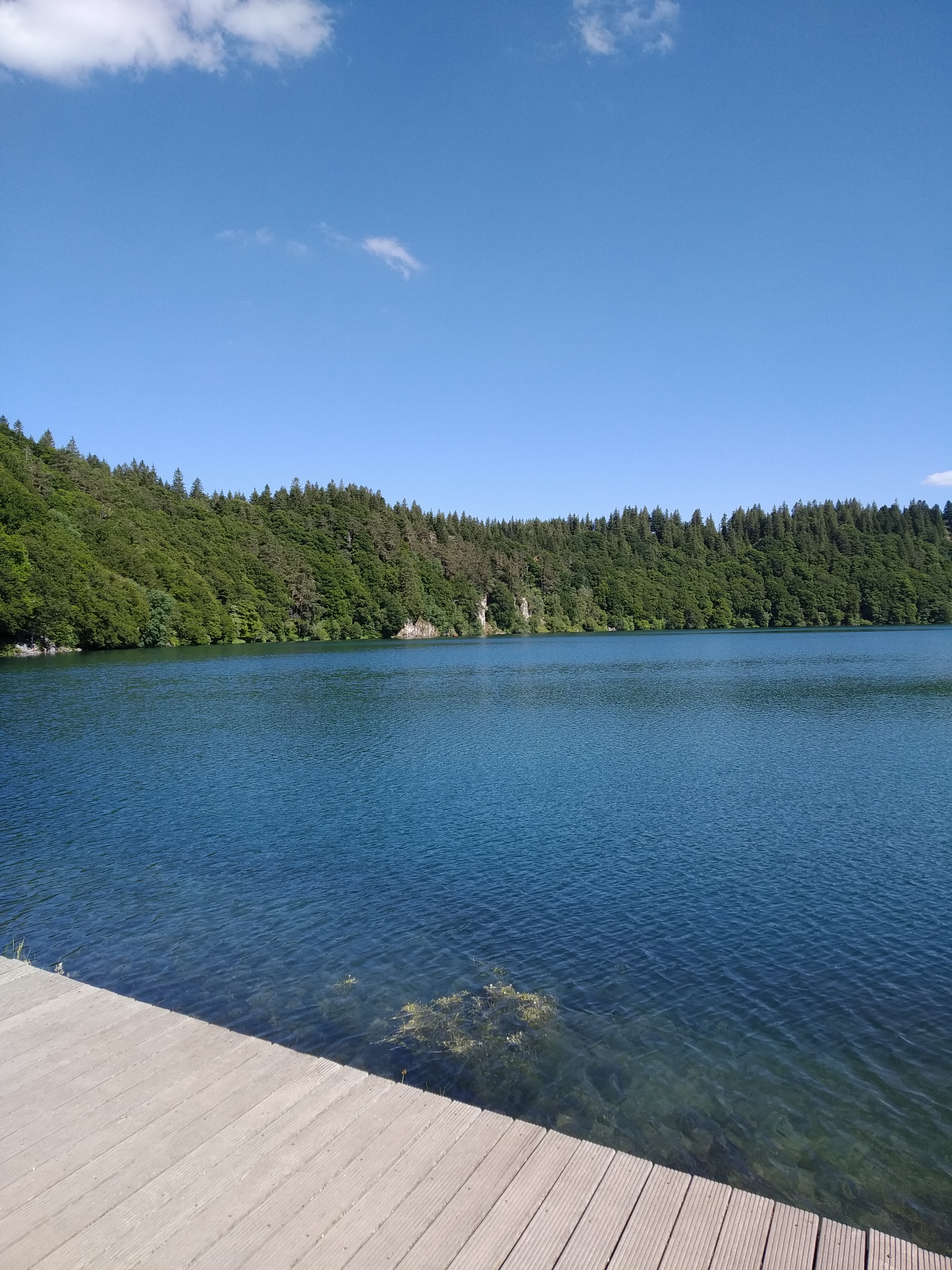 Photo n° 1 de l'avis de gibbs.o fait le 16/07/2019 à 09:58