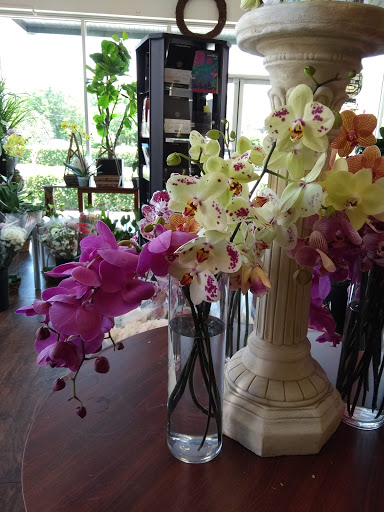 Florist «Market Garden Floral Co», reviews and photos, 1418 N Semoran Blvd #130, Orlando, FL 32807, USA