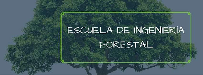 Opiniones de Escuela De Ingenieria Forestal - ESPOCH en Riobamba - Escuela