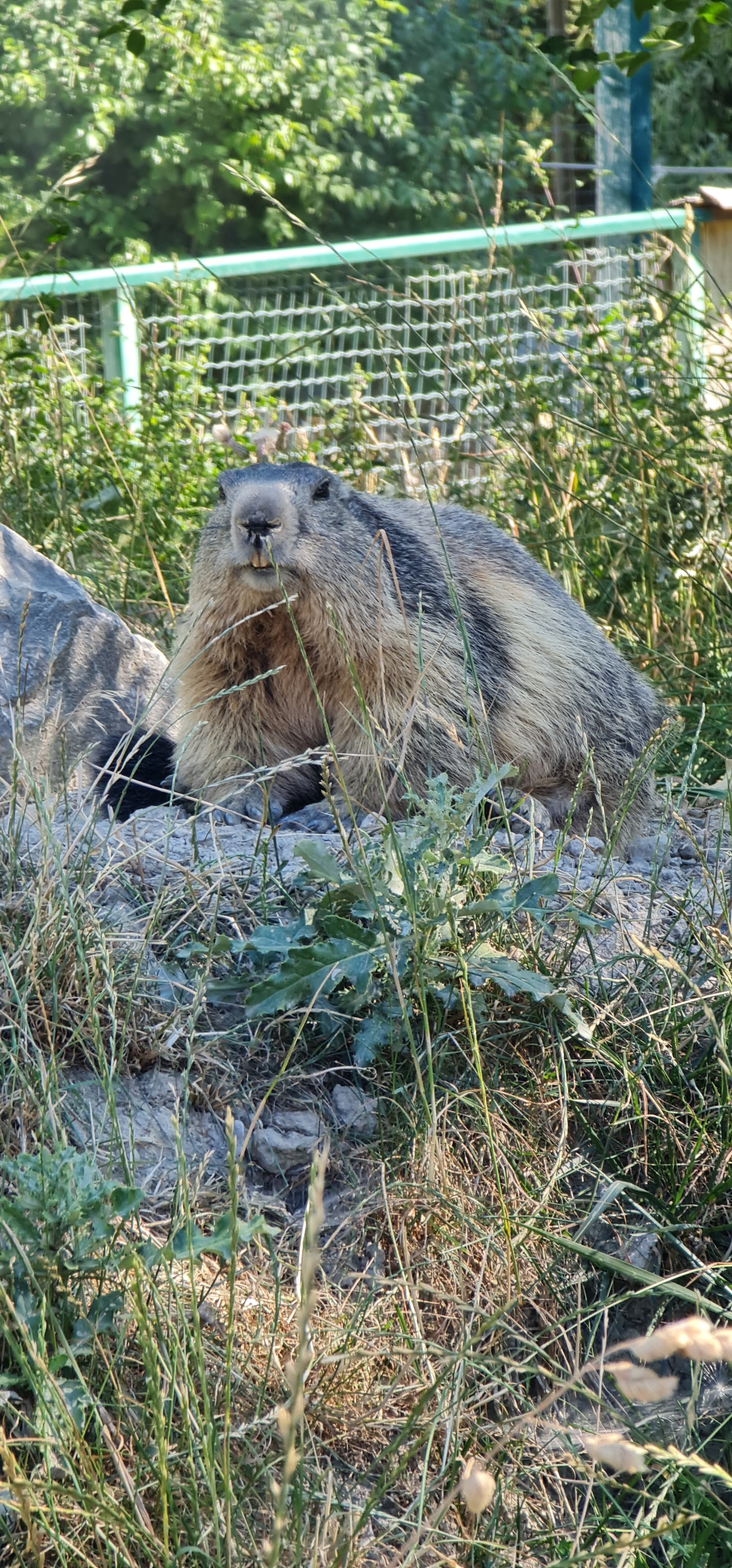 Photo n° 1 de l'avis de Julie.a fait le 03/08/2019 à 12:47
