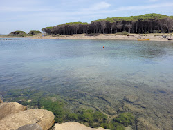 Foto von Punta delle Quaglie Lido befindet sich in natürlicher umgebung