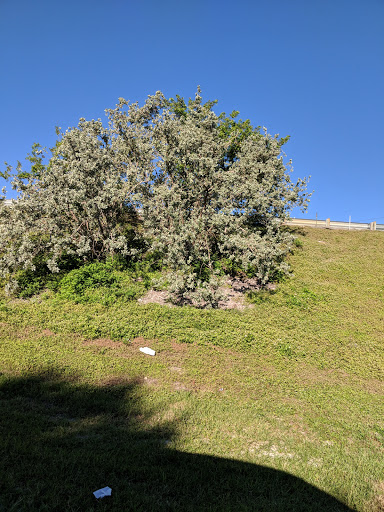 Park «Easterlin Park», reviews and photos, 1000 NW 38th St, Oakland Park, FL 33309, USA