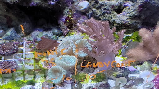 Pet Store «Moby Dick Pet Store Inc», reviews and photos, 3700 Sashabaw Rd, Waterford Twp, MI 48329, USA