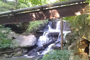 Mud Brook Falls