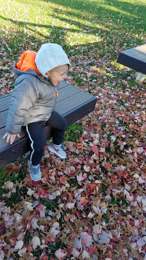 Park «Griffin Park», reviews and photos, Griffin Park E, Canton, MI 48187, USA