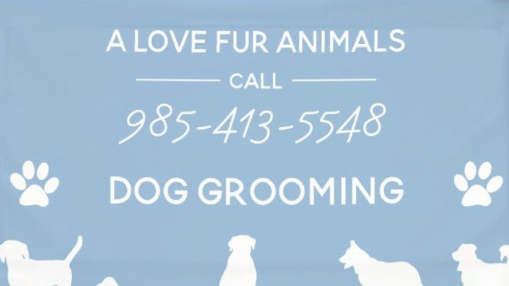 A Love Fur Animals
