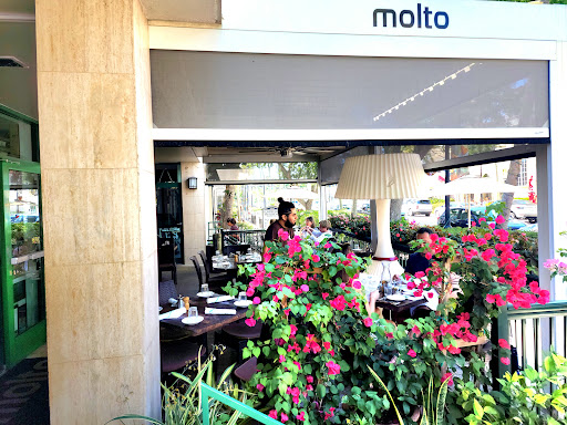 Italian Restaurant «Molto Trattoria», reviews and photos, 368 5th Ave S, Naples, FL 34102, USA