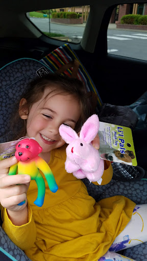 Pet Supply Store «Bark Avenue», reviews and photos, 3919 Park Dr, El Dorado Hills, CA 95762, USA