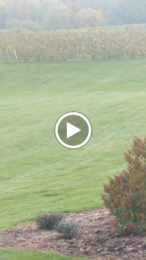 Winery «Gravity Vineyards and Winery», reviews and photos, 10220 Lauer Rd, Baroda, MI 49101, USA