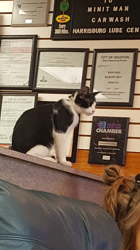 Car Wash «Minit-Man Car Wash», reviews and photos, 6926 Harrisburg Blvd, Houston, TX 77011, USA