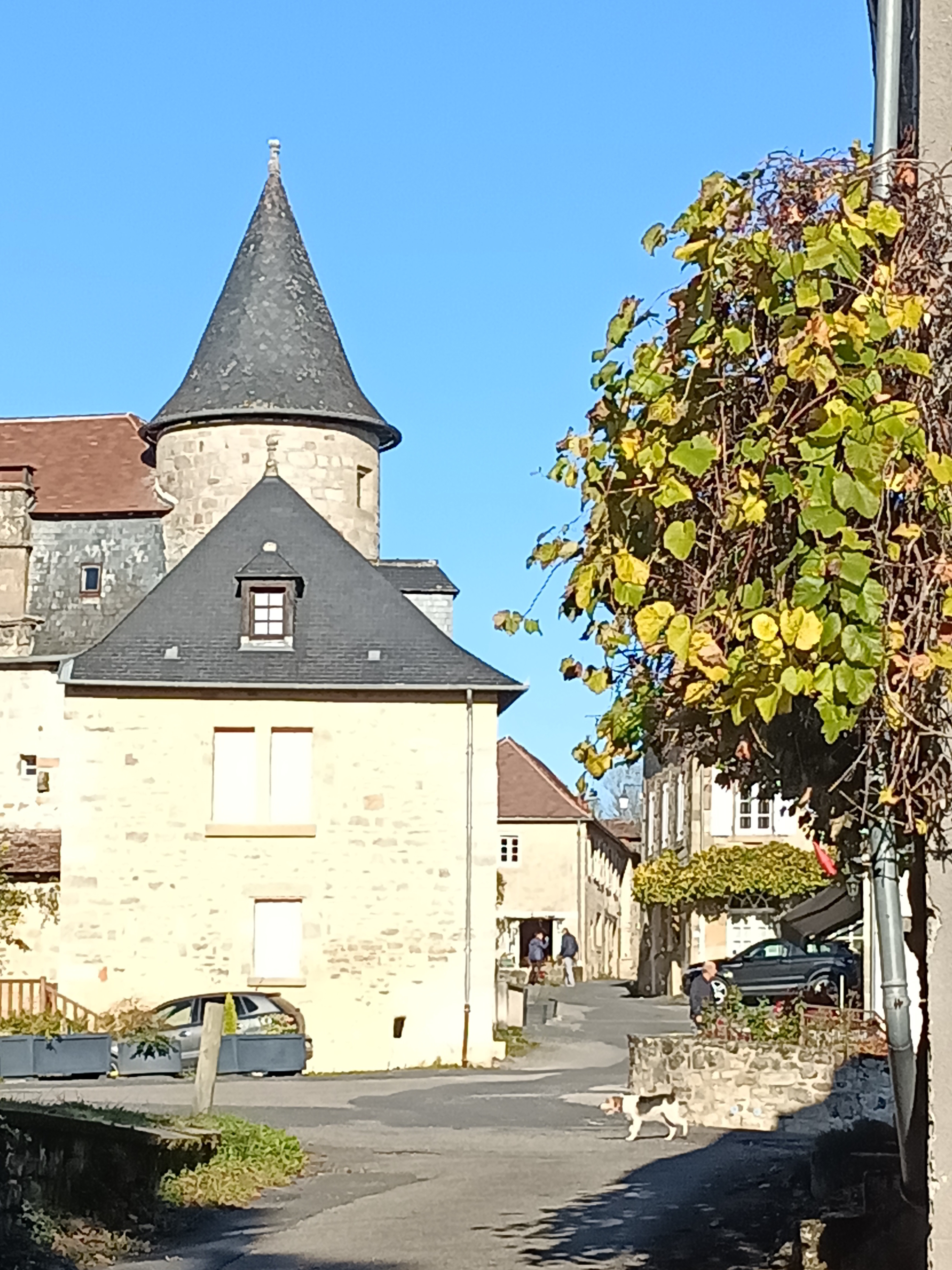 Photo n° 2 de l'avis de Céline.a fait le 15/11/2022 à 13:41