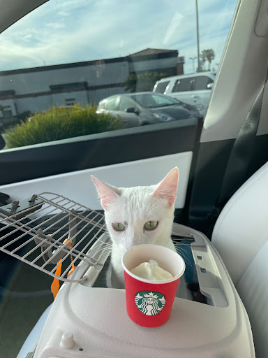 Starbucks image
