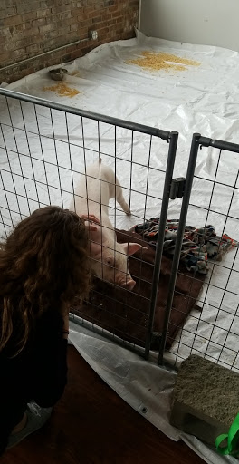 Event Venue «Biltwell Event Center», reviews and photos, 950 S White River Pkwy W Dr, Indianapolis, IN 46221, USA