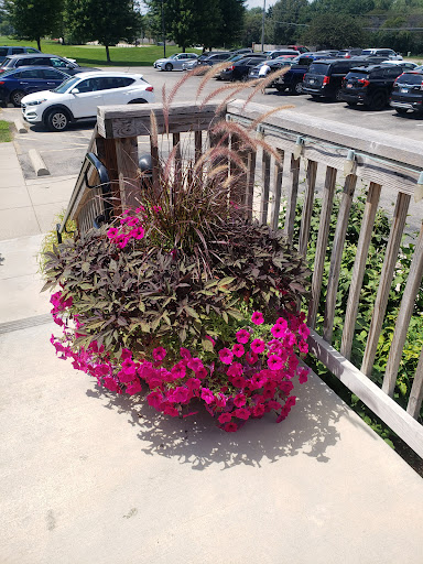 Golf Course «Fox Bend Golf Course», reviews and photos, 3516 US-34, Oswego, IL 60543, USA