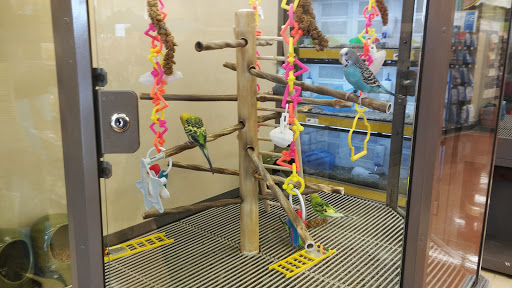 Pet Supply Store «Petco Animal Supplies», reviews and photos, 8404 Eager Rd b, Brentwood, MO 63144, USA