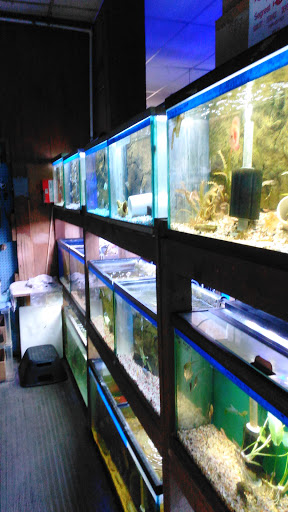 Tropical Fish Store «Pass Road Pet Center (Just Fish)», reviews and photos, 1939 Pass Rd, Biloxi, MS 39531, USA