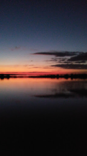 National Forest «Ocala National Forest», reviews and photos, 40929 FL-19, Umatilla, FL 32784, USA