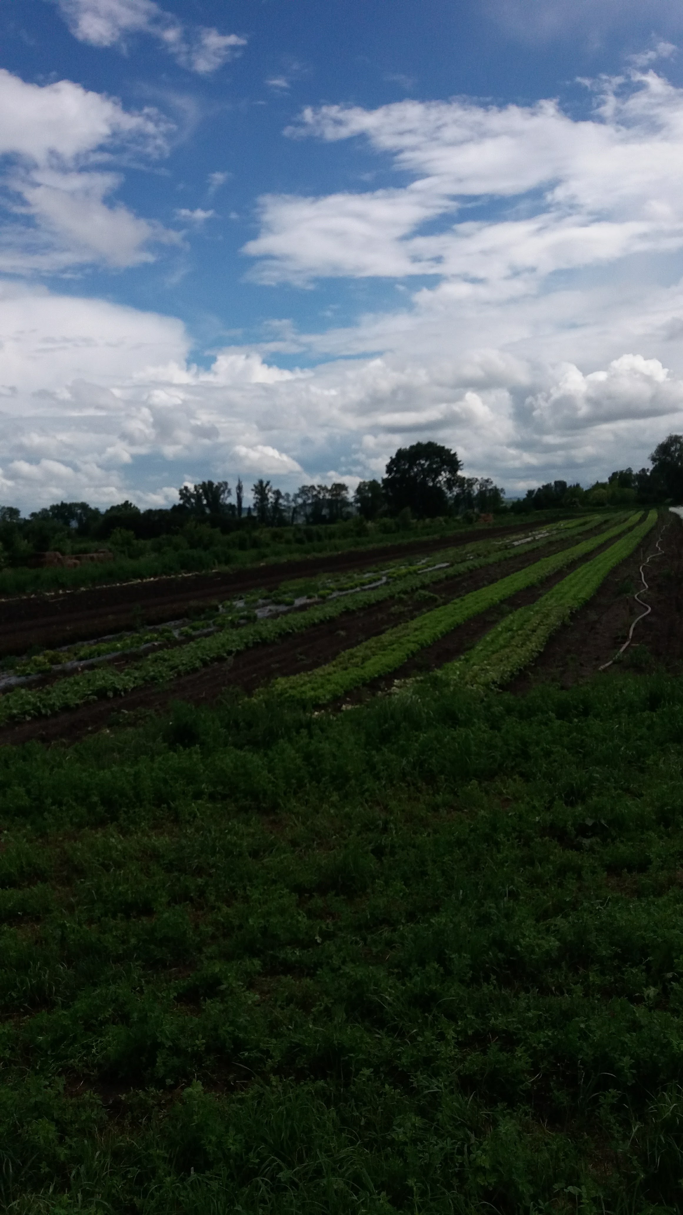 Photo n° 2 de l'avis de FARIS.B fait le 30/05/2018 à 08:22