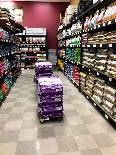 Pet Store «Petland Vineyard - San Antonio», reviews and photos, 1309 North Loop 1604 W #101, San Antonio, TX 78258, USA