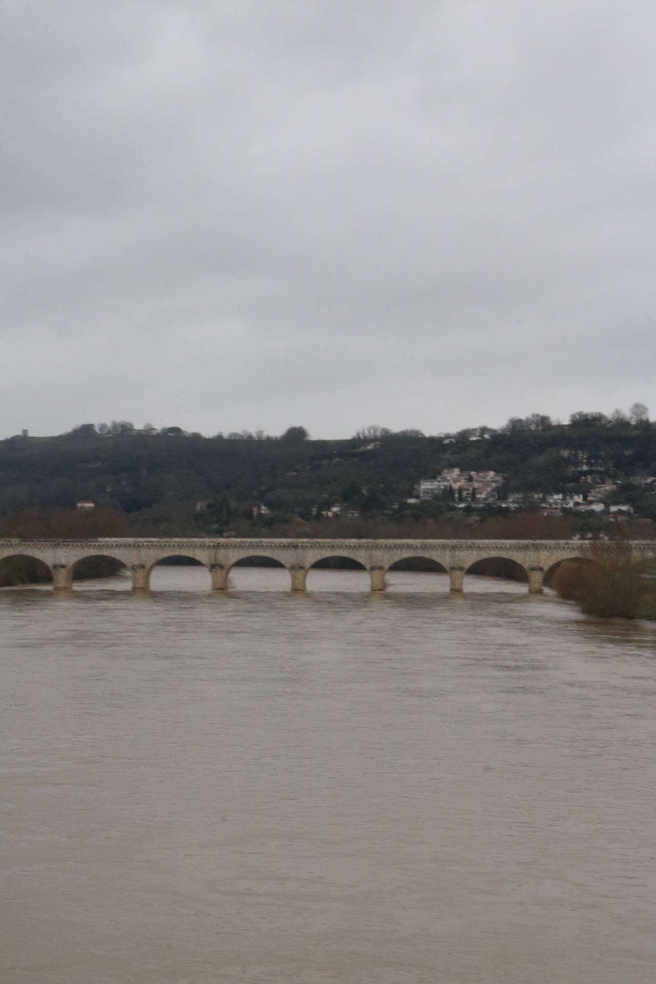 Photo n° 1 de l'avis de Solo.a fait le 29/02/2024 à 16:45
