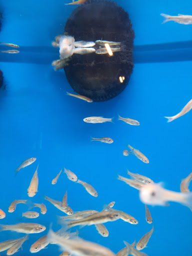 Pet Supply Store «Petco Animal Supplies», reviews and photos, 3731 Gateway Dr, Eau Claire, WI 54701, USA