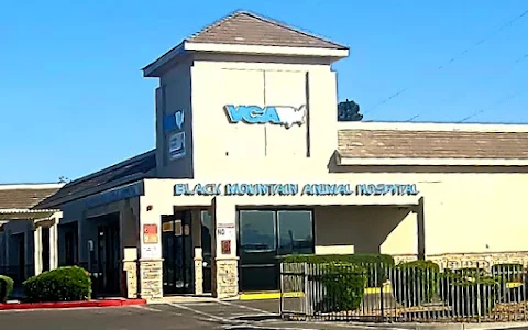 VCA Black Mountain Animal Hospital image