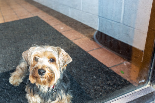 Car Wash «Splash Car Wash», reviews and photos, 250 N Merchants Dr, Oswego, IL 60543, USA