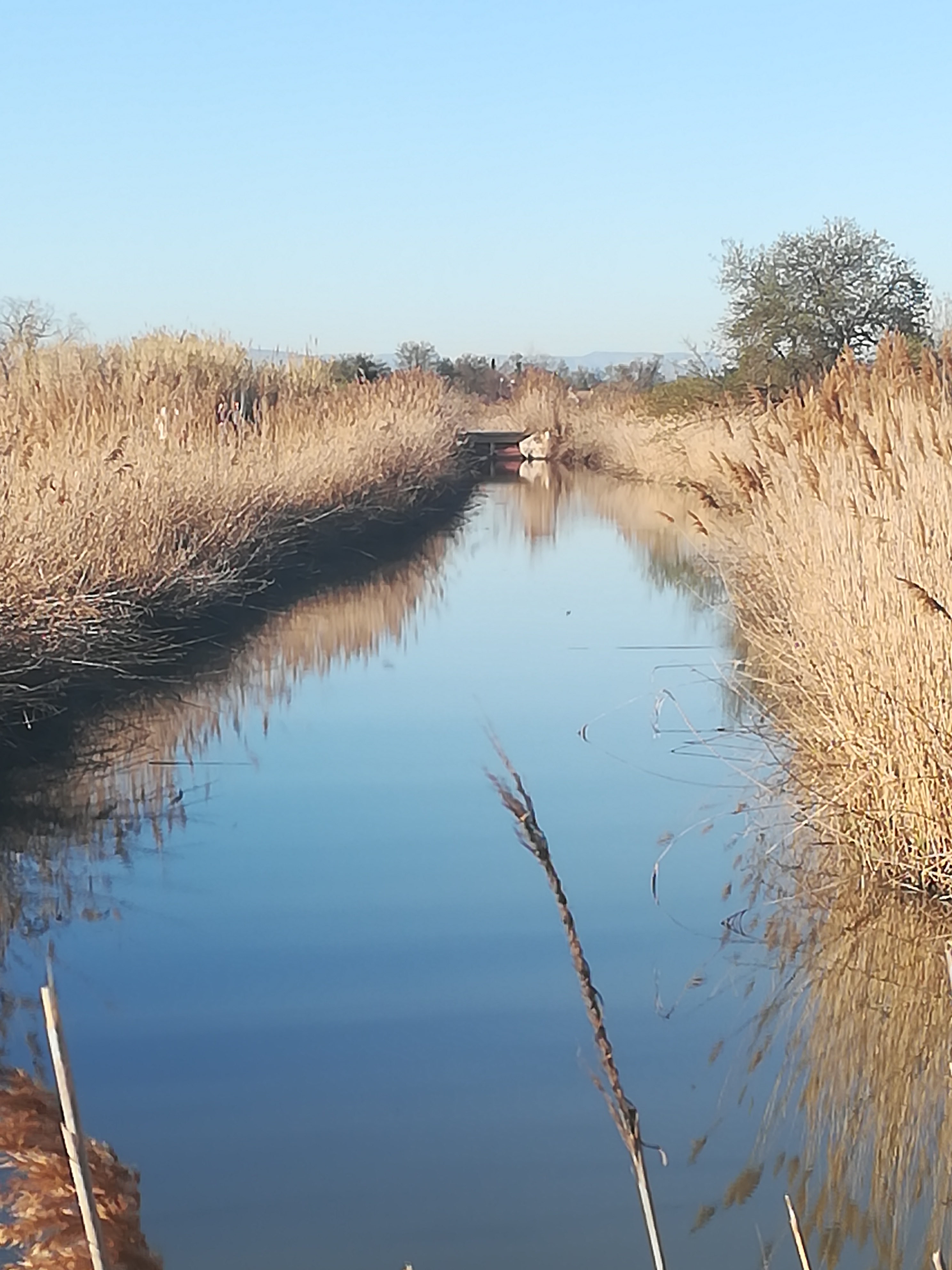 Photo n° 6 de l'avis de Steve.e fait le 29/01/2018 à 14:39