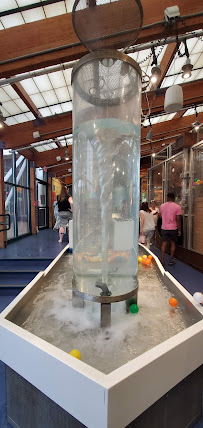 Stepping Stones Museum for Children - Photo 9 - Car repair in Norwalk, CT, Stamford