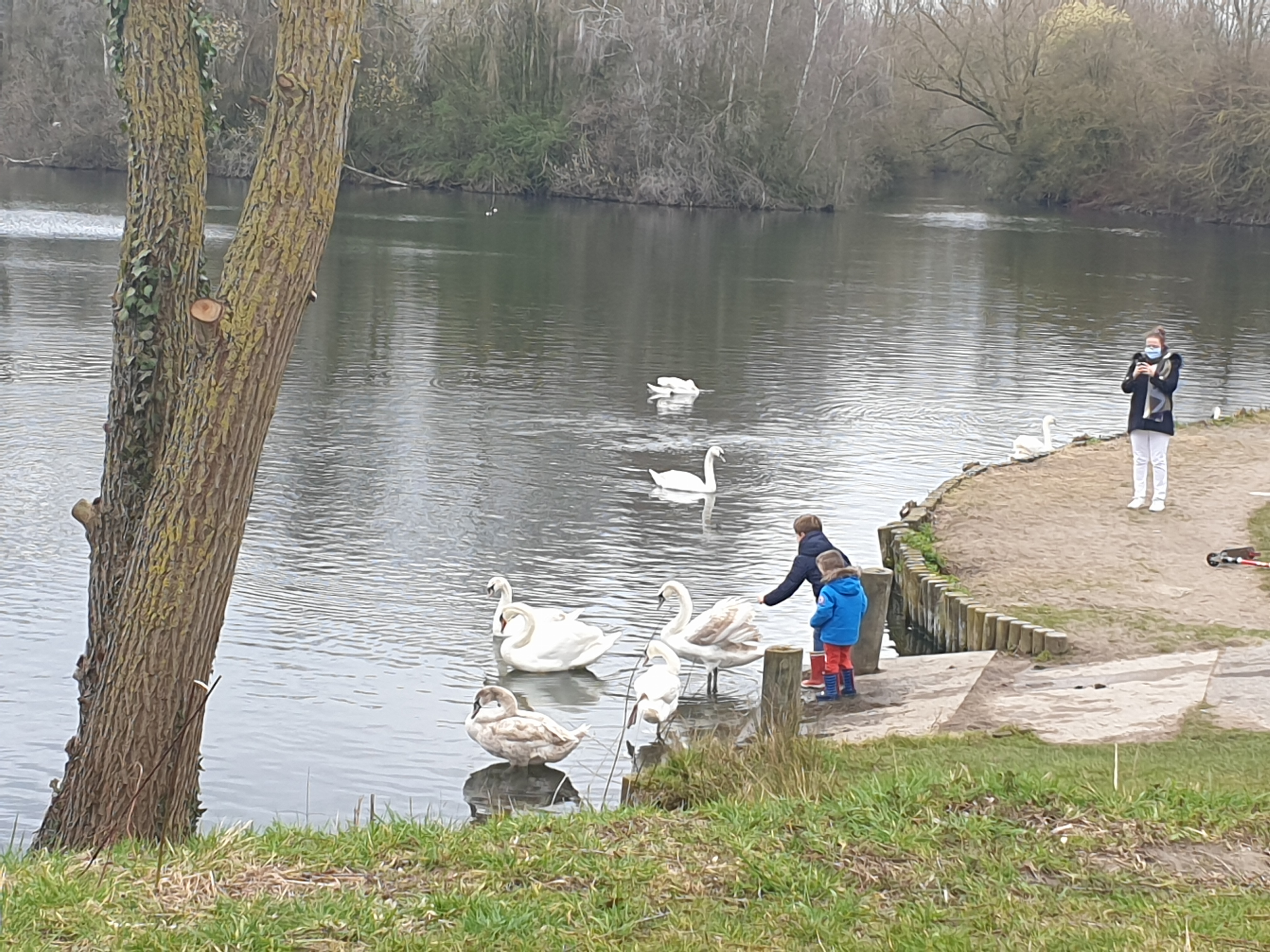 Photo n° 1 de l'avis de Piotr. fait le 11/04/2021 à 17:28