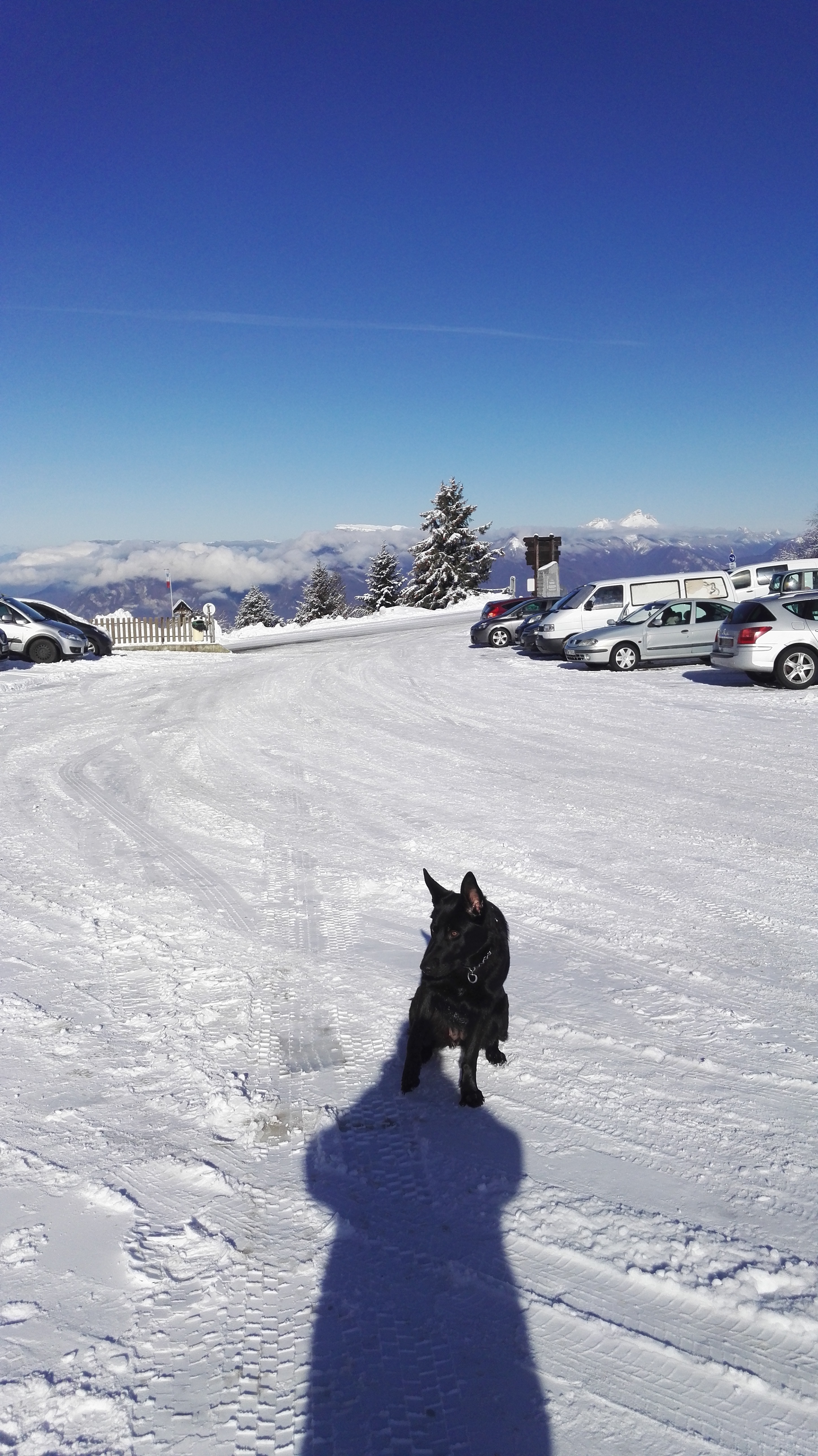 Photo n° 2 de l'avis de Christophe.e fait le 23/01/2019 à 10:05
