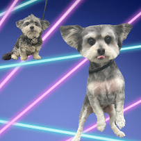 Pawtique Pawlor - Photo 4 - Car repair in Inglewood, CA, Inglewood