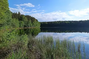 Leśna ścieżka dydaktyczna "Jasne" image