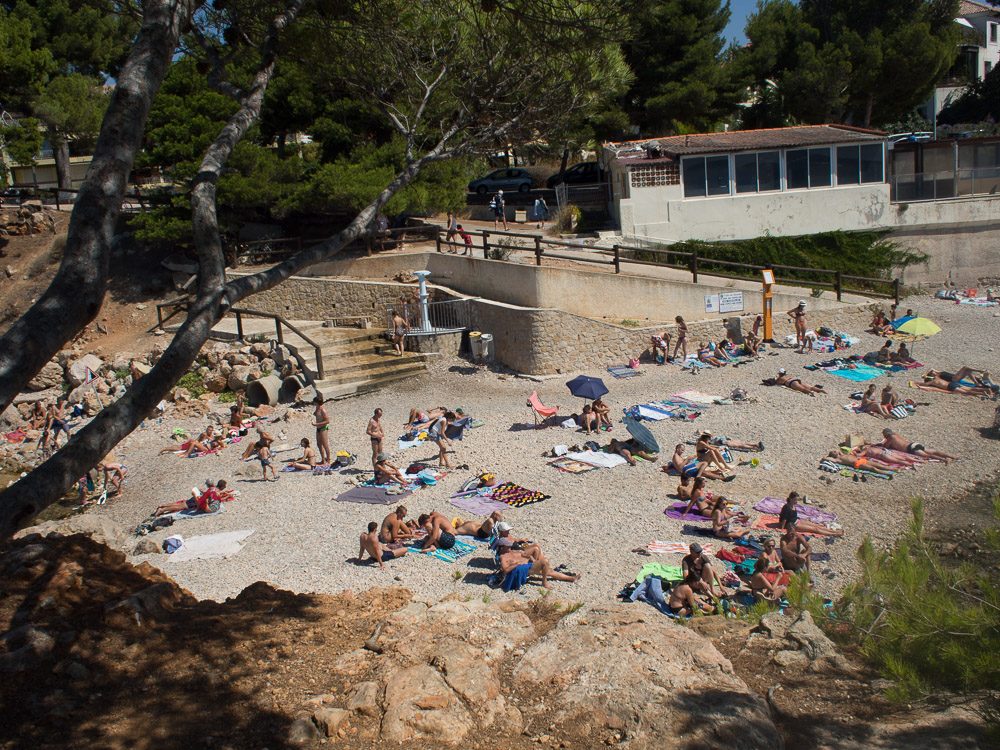 Parc du Cannet'in fotoğrafı vahşi alan