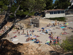 Parc du Cannet'in fotoğrafı vahşi alan
