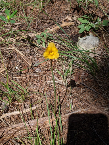 Nature Preserve «Stillhouse Hollow Nature Preserve», reviews and photos, 7810 Sterling Dr, Austin, TX 78759, USA