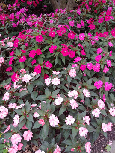 Park «Larchmont Manor Park», reviews and photos, 108 Park Ave, Larchmont, NY 10538, USA