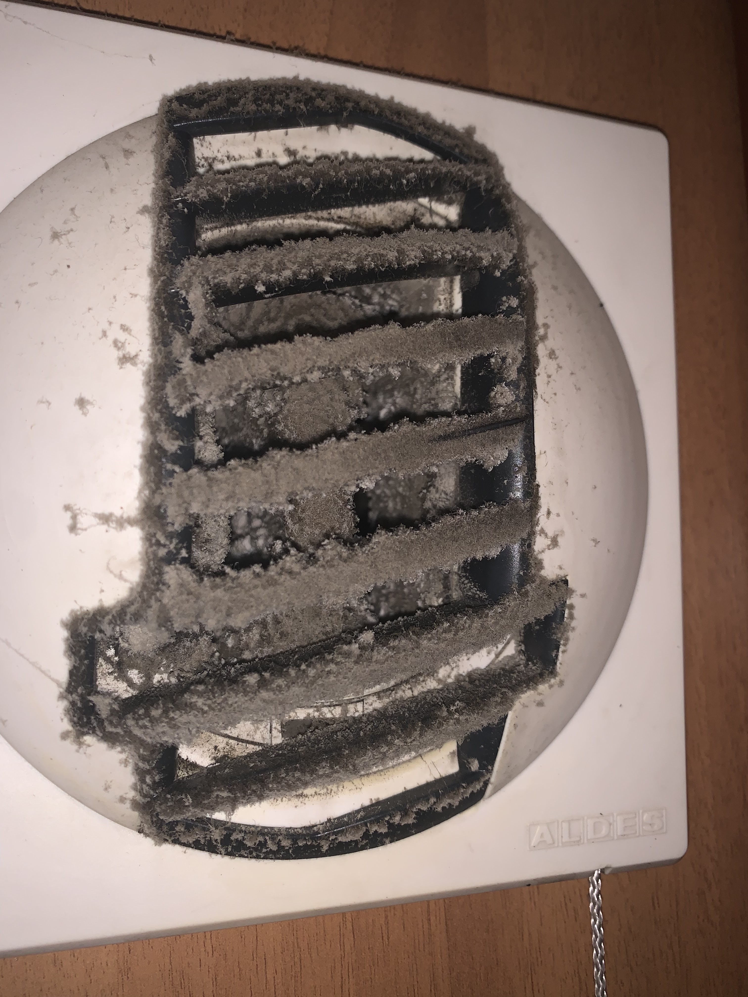 Photo n° 4 de l'avis de Mil.a fait le 20/08/2022 à 14:28